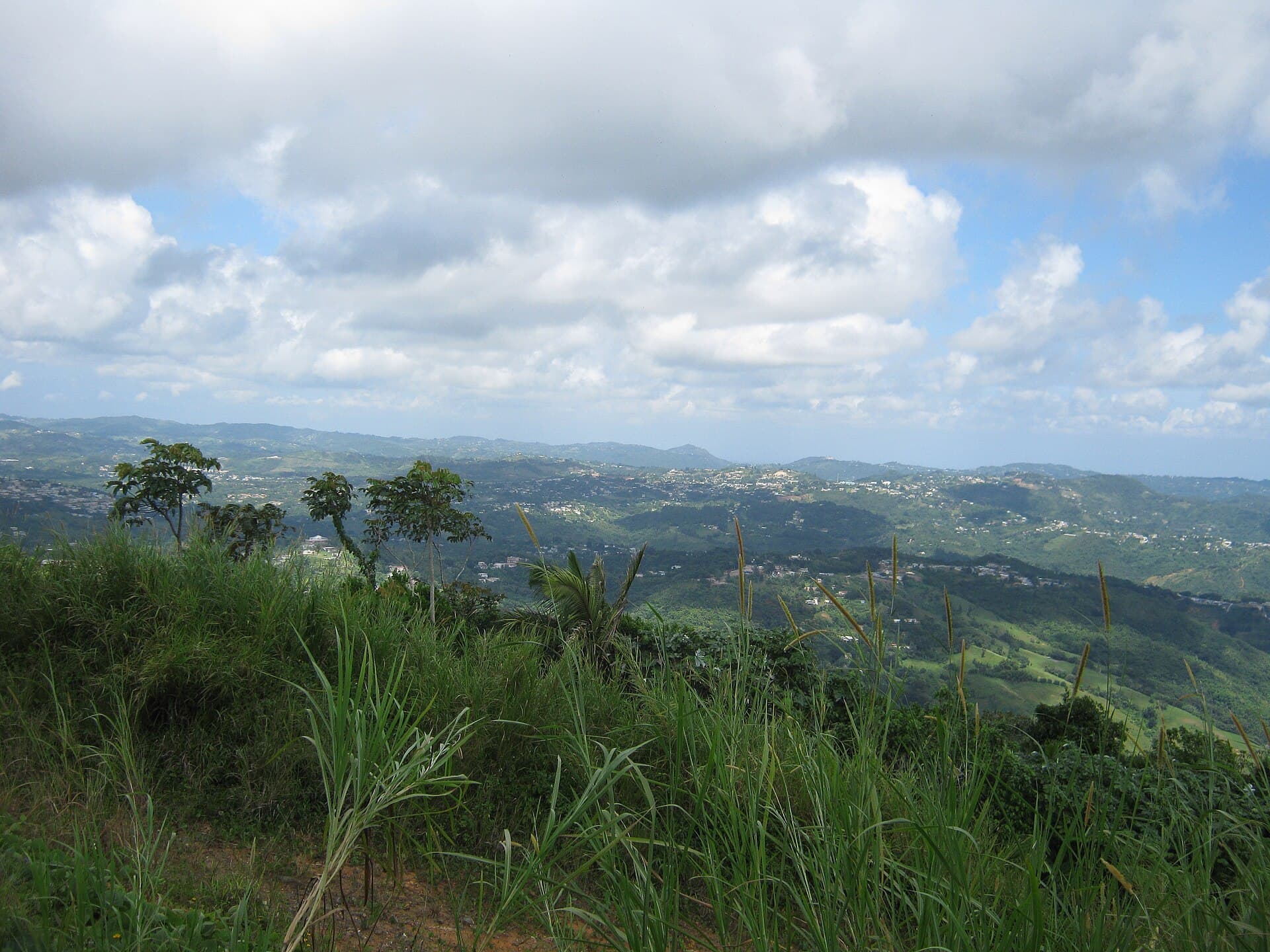 Vista panorámica de Cidra