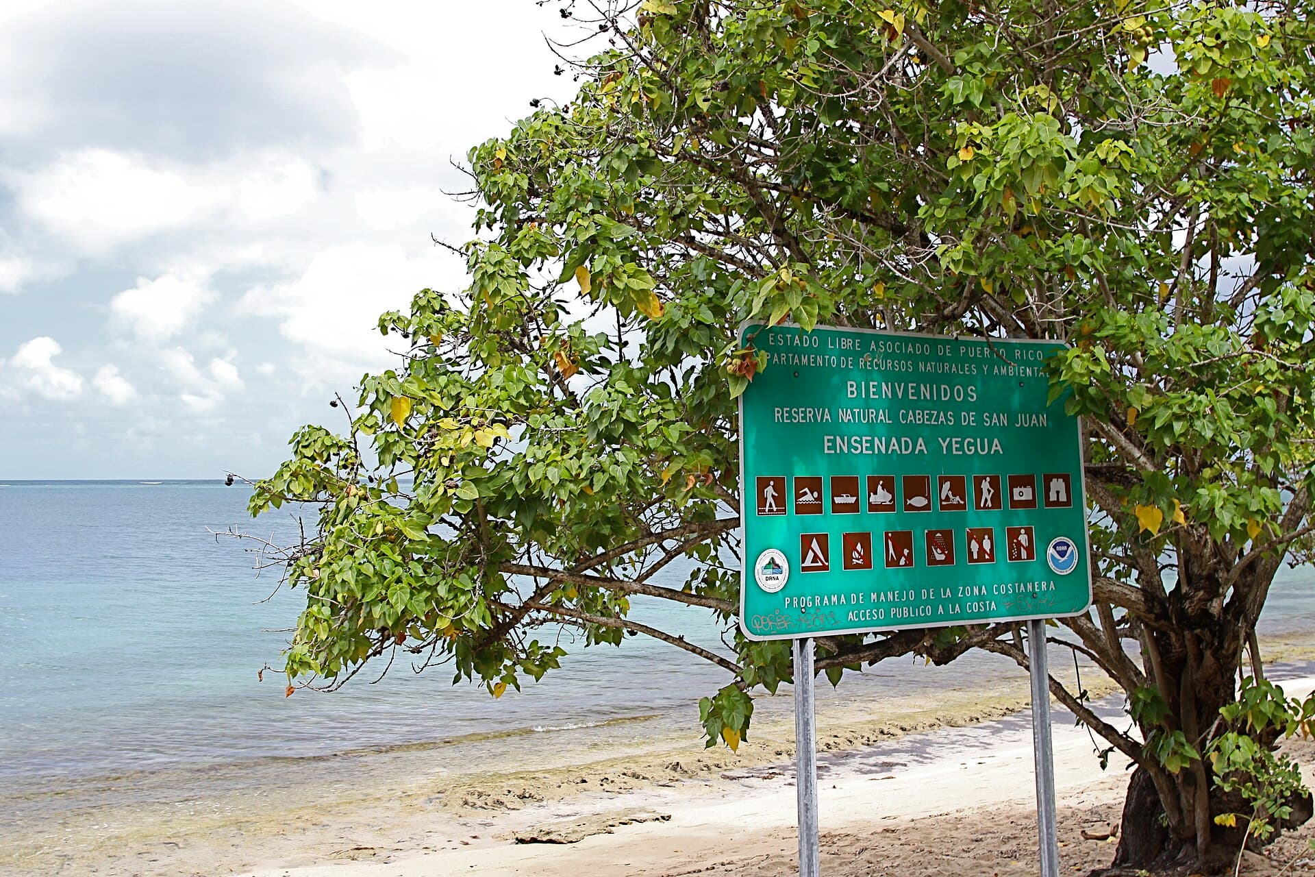 Reserva Cabezas de San Juan, Fajardo