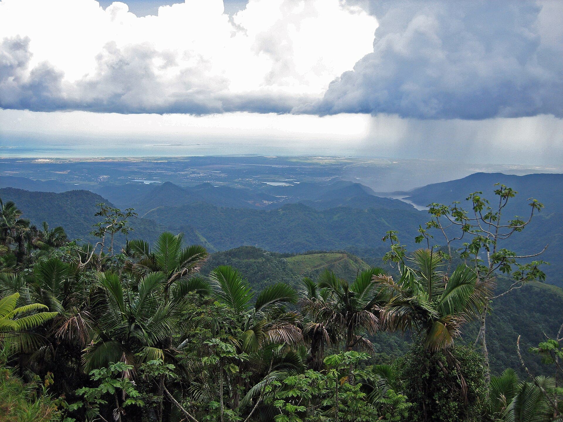 Jayuya en la cordillera central