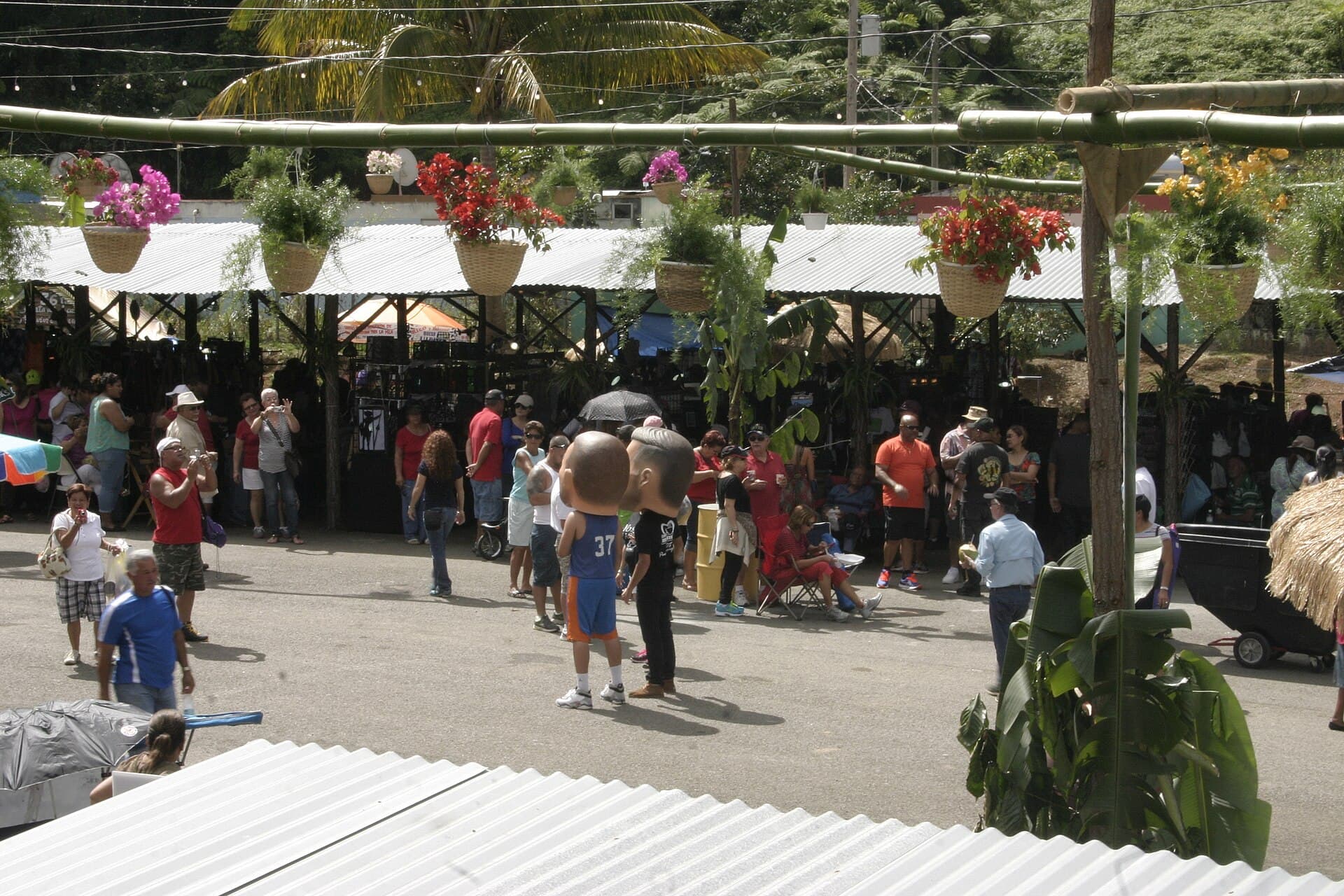 Festival del Acabe del Café, Maricao