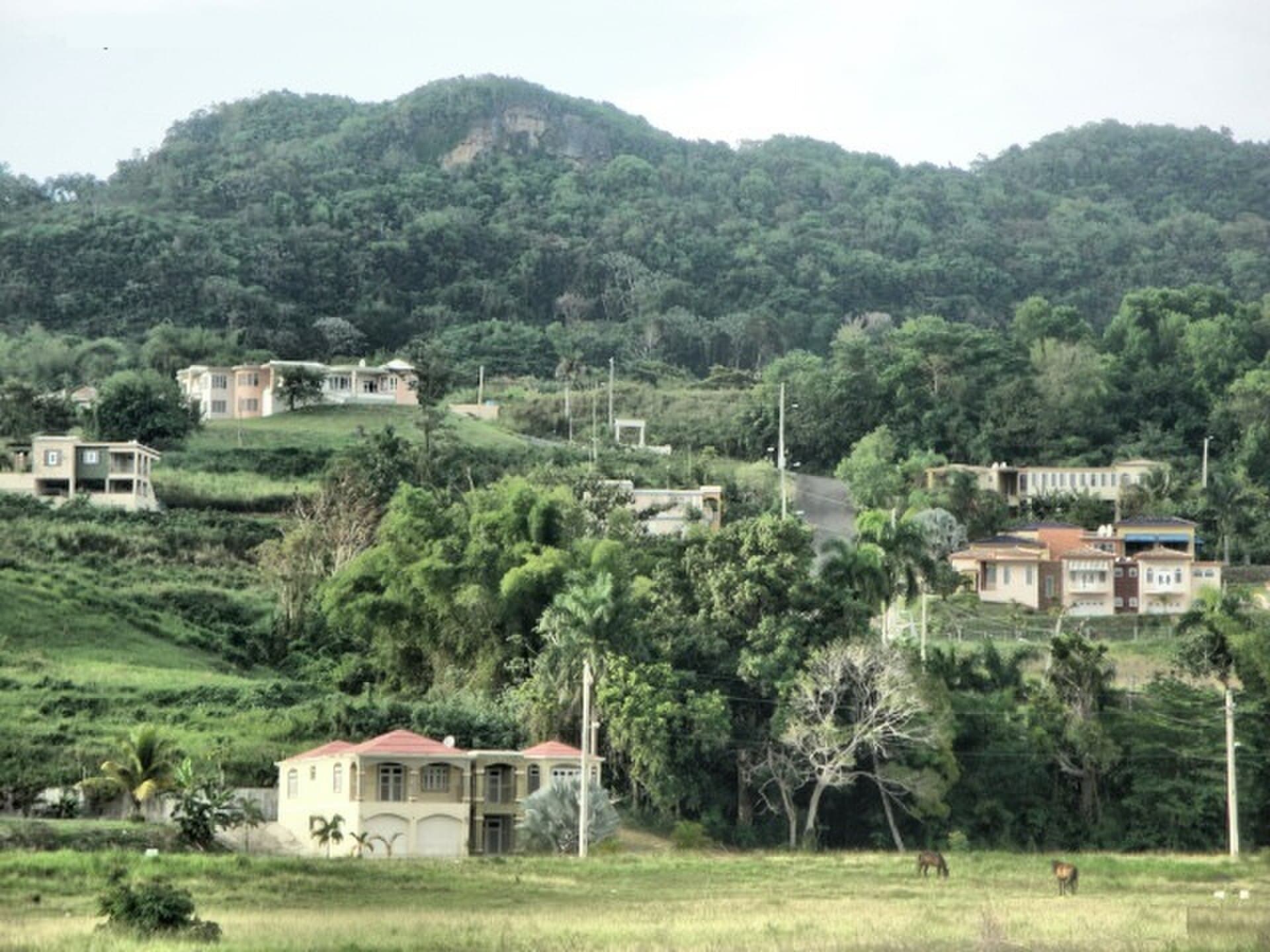 Moca, tierra del mundillo