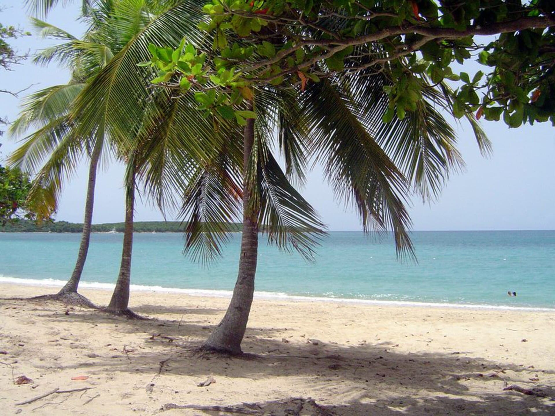 Playa Sun Bay, Vieques